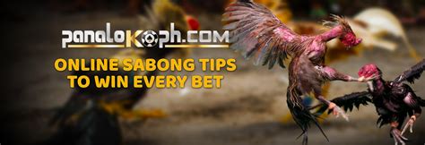Bet and Win Sport, Sabong with bmy888 .